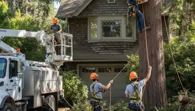 Tree service crew in Troy, MI providing professional tree care and removal for local properties