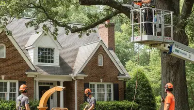 Tree service crew in Troy, MI providing professional tree removal, trimming, and maintenance
