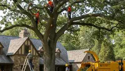 Tree service crew in Troy, MI providing professional tree care for local homes and businesses